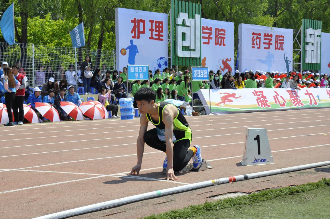 成人在线