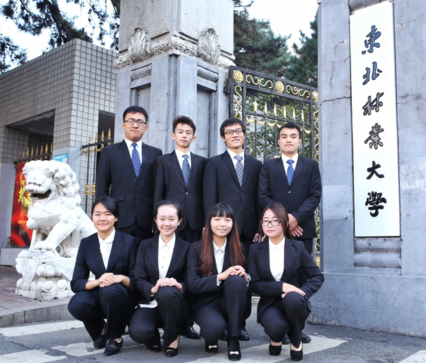 成人在线