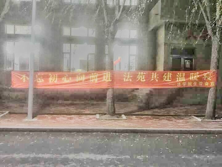 成人在线
