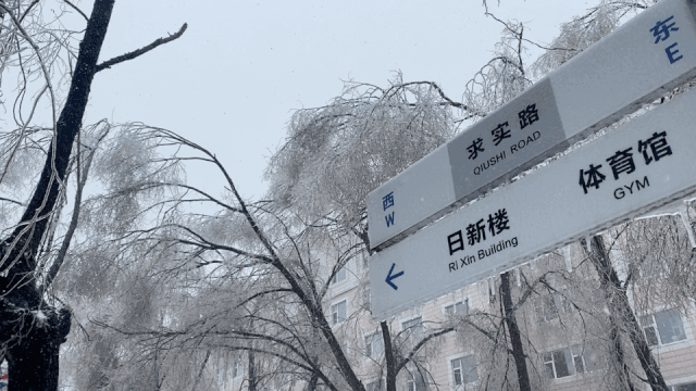 成人在线