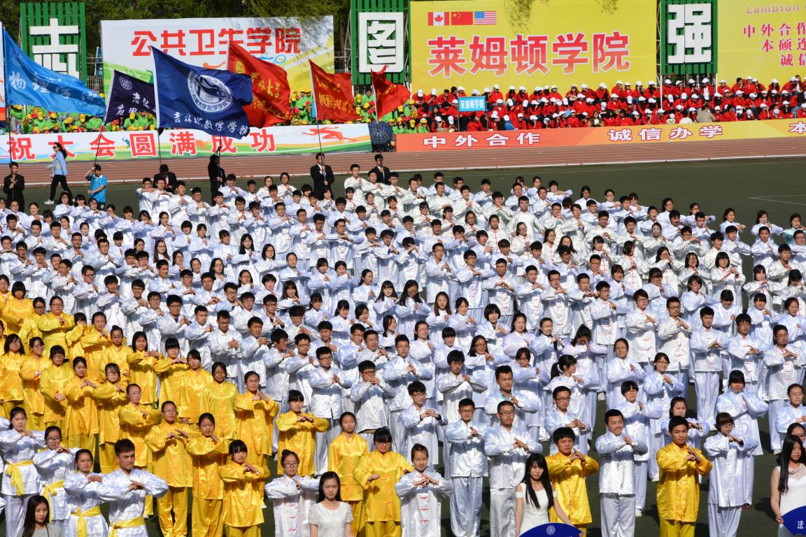 成人在线