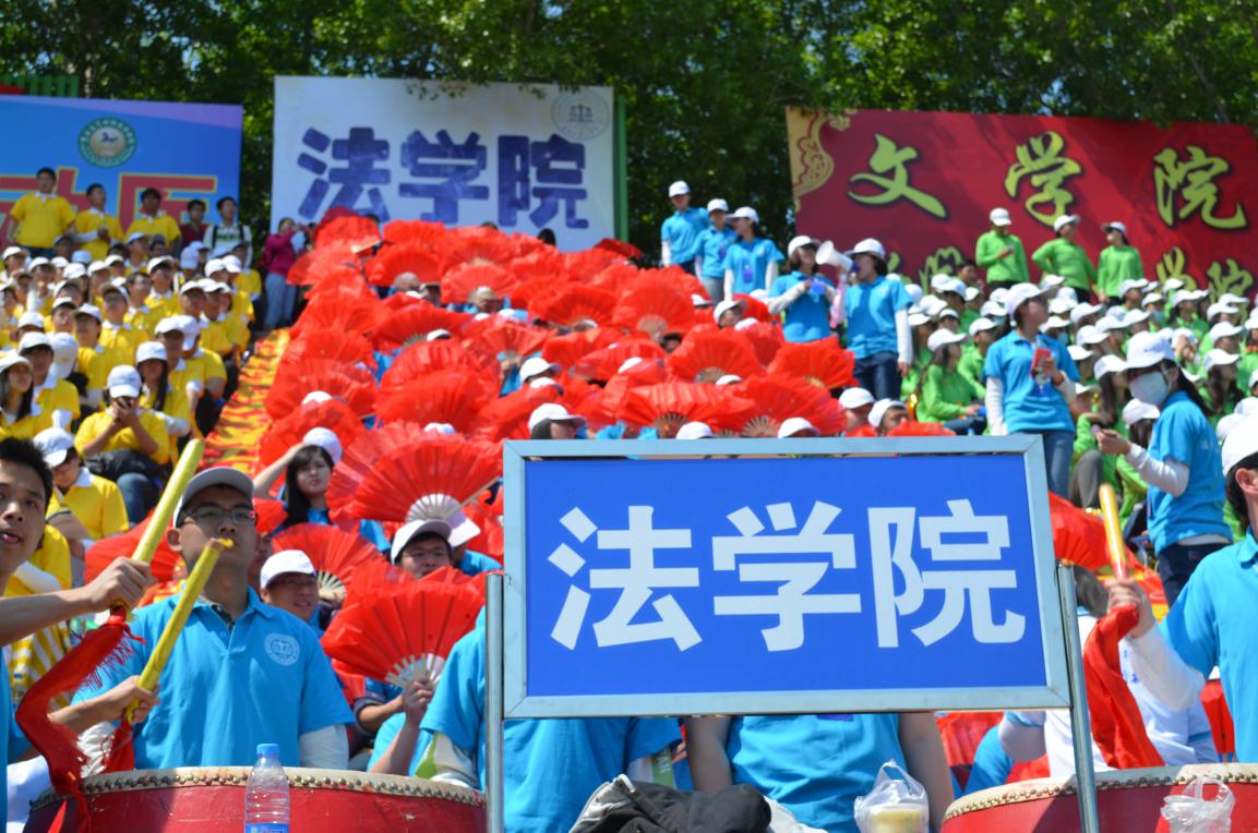 成人在线