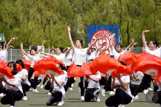 成人在线