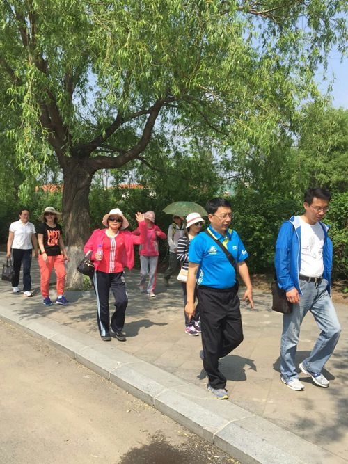 成人在线