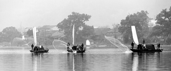 成人在线
