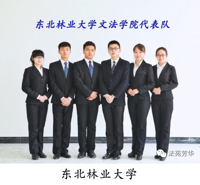 成人在线